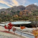 플레이어스 | 클럽디 더 플레이어스 밸리-레이크 코스 라운드 후기 (2025.11.15)