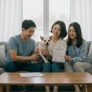 수원시동물보호센터 동물병원 이미지