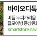 야생화 민박 티스토리