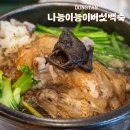 나능이 건너편 | 동탄 영천동 삼계탕 나능이능이버섯백숙 능계탕 후기