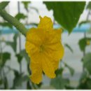 오산시립쉼터공원 이미지