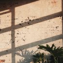 수메디컬 이미지