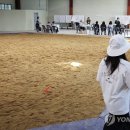 시민운동장 씨름장 연합뉴스
