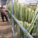 오산농원영농조합법인 이미지