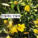업사이클링 창업과정 이미지