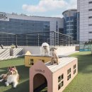 더위크앤리조트(더우프앤) 이미지