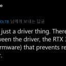 바오밥나무기타 이미지