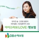 똑똑펫