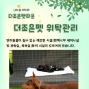더조은펫 - 미추홀구 경인로 350-1 | 더조은펫