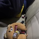 오수시장 | 로컬페이지 세부, 오슬롭 고래상어 투어 솔직후기 추천하는 이유! (오슬롭, 수밀론 투어)