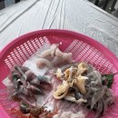 수협활어회초장식당 | [내돈내산 찐 후기] 속초 동명항활어회센터 2층식당 회,매운탕 (feat. 가격, 이용법)