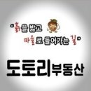 제주꽃도니 네이버블로그