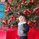 하빈로 | [대구·대구근교 크리스마스 카페 총정리] 밍브로맘이 실제로 다녀온 곳만! REAL 후기 모음