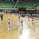 화랑태권도체육관 이미지