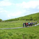 선기로1-6 이미지