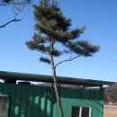 여주-0962 이미지