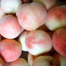 방개농장 이미지