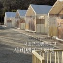워시벨리 | 포천 사비벨리 글램핑 아기랑 신상 글램핑 후기
