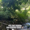 탐스럽개 이미지