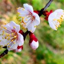 빛 살 -울림 이미지