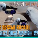 태식농장 이미지