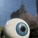 [공지] [미국 텍사스] 12월 텍사스 댈러스 포트워스 당일치기 여행코스 추천 | 자이언트아이볼, 소몰이...