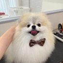 코트니룸 이미지