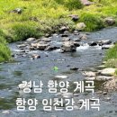경남 | 경남 함양 계곡, 임천강 계곡 상세 후기
