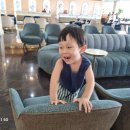 화창카정비 이미지