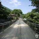 국립 칠보산자연휴양림 티스토리