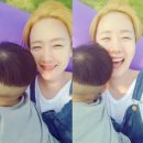 하드림