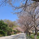 구항면 발현마을회관 | 홍성 거북이마을 약천초당 구산사 장충영각 섶다리 수선화밭 재너머 사래긴 밭 약천 남구만