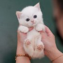 청도메디컬 이미지