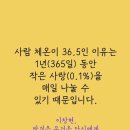 장터삼겹살 - 화성시 기아자동차로 559 | 장터삼겹살