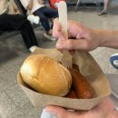 6965 | 루프트한자 리스본 프랑크푸르트 경유 LH6965 지연 LH0712 결항 후기