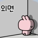 스포독 이미지