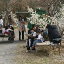 농부네 텃밭 이미지