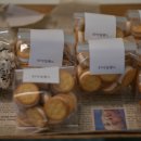 47아일랜드(47 ISLAND) 이미지