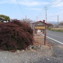 딱정벌레펜션 이미지