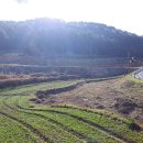 남해-297 이미지