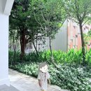 캠프해리 | 싱가포르 영어캠프 끝나고 센토사 가능할까? 해리포터·슬라임·스누피 반나절 실전 동선