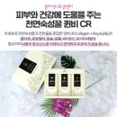 하늘아래농원
