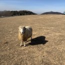 양도농장 이미지