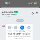 캔투어여행사 이미지