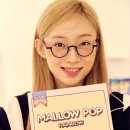 단델리온(Dandelion) 이미지