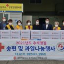대한과일