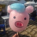 콩세알작은도서관 | [가을여행]완주 힐링무인호텔 BBQ/추억의 화심순두부 콩도넛/연화정도서관/상관편백숲/현대옥본점