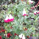 여민행정사사무소 이미지