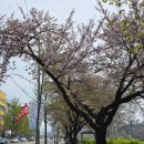 2022 K리그1 서울vs강원 | 26.04.12. K리그1 7R 직관 후기 대전하나시티즌 vs 강원FC [그래도 슬플 때는 힘차게 달릴 것. 다음...