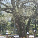 동명한의원 이미지